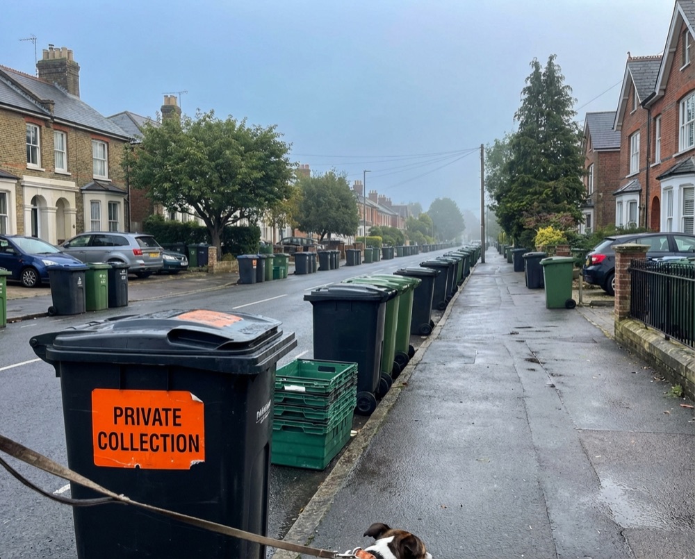 Residential street with bins in Bognor Regis awaiting collection